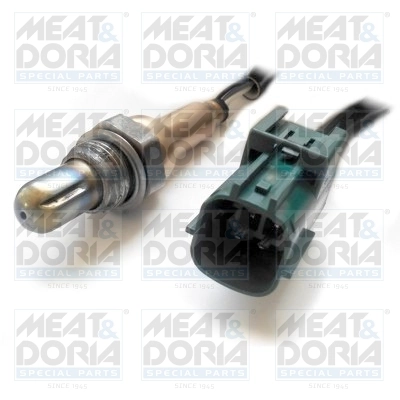 Oxygen Sensor